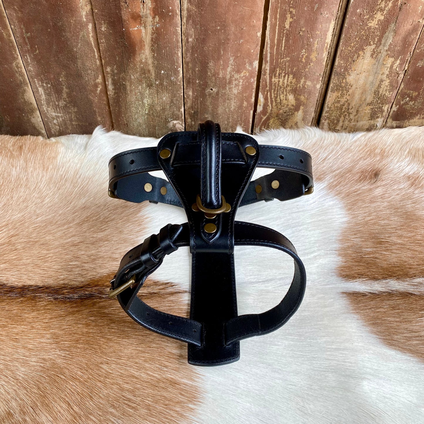 Dog Harness
