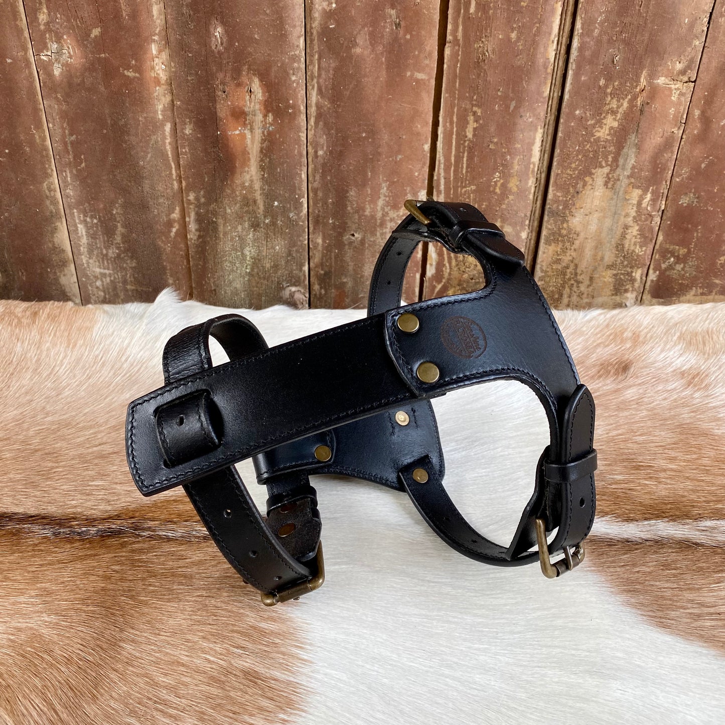 Dog Harness