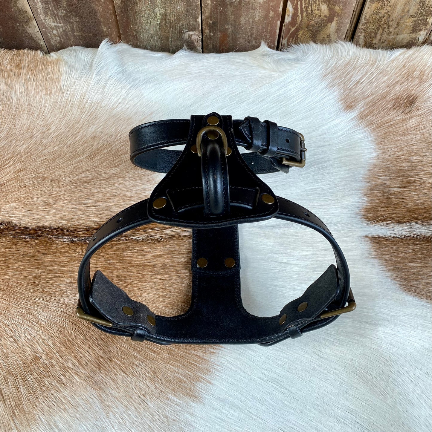 Dog Harness