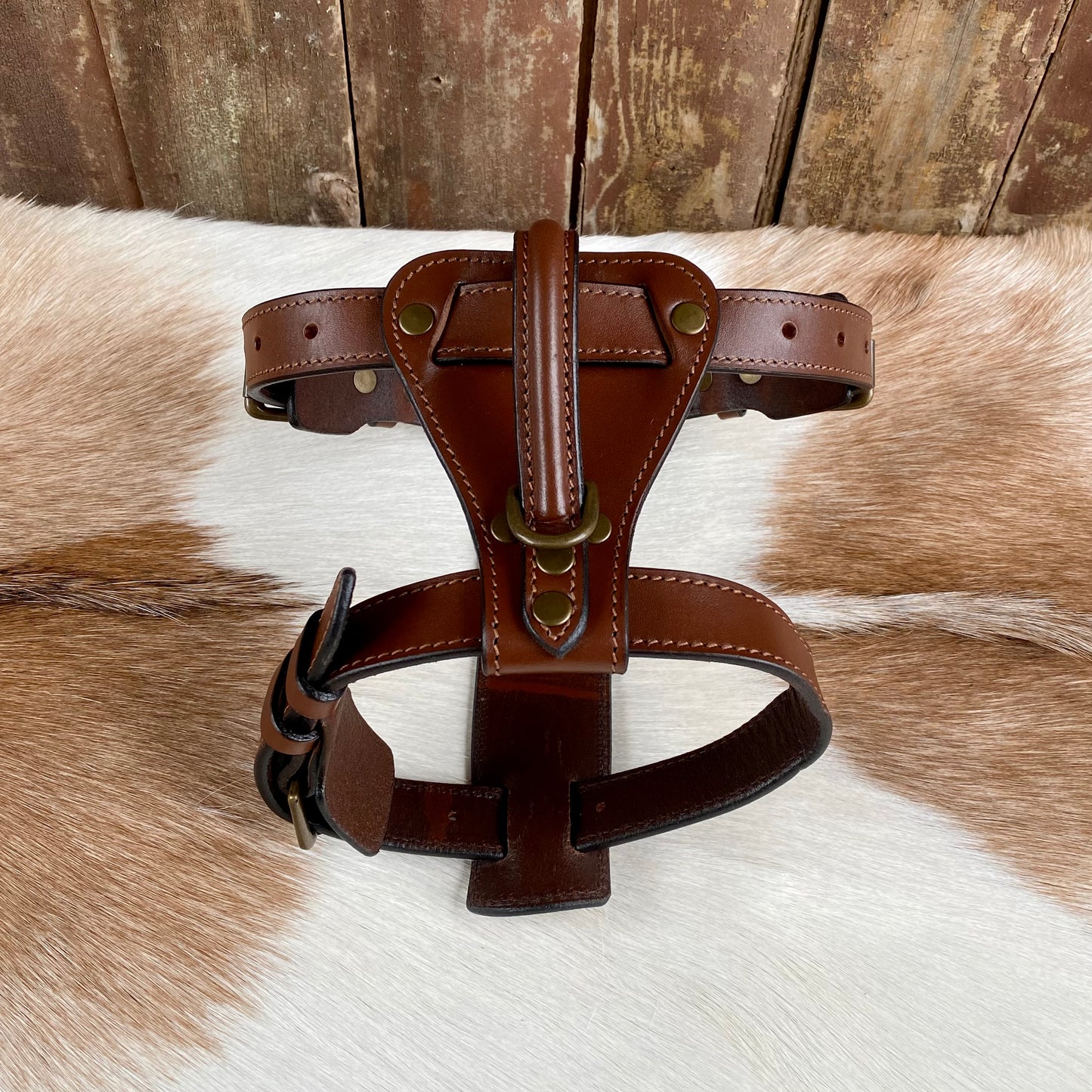 Dog Harness