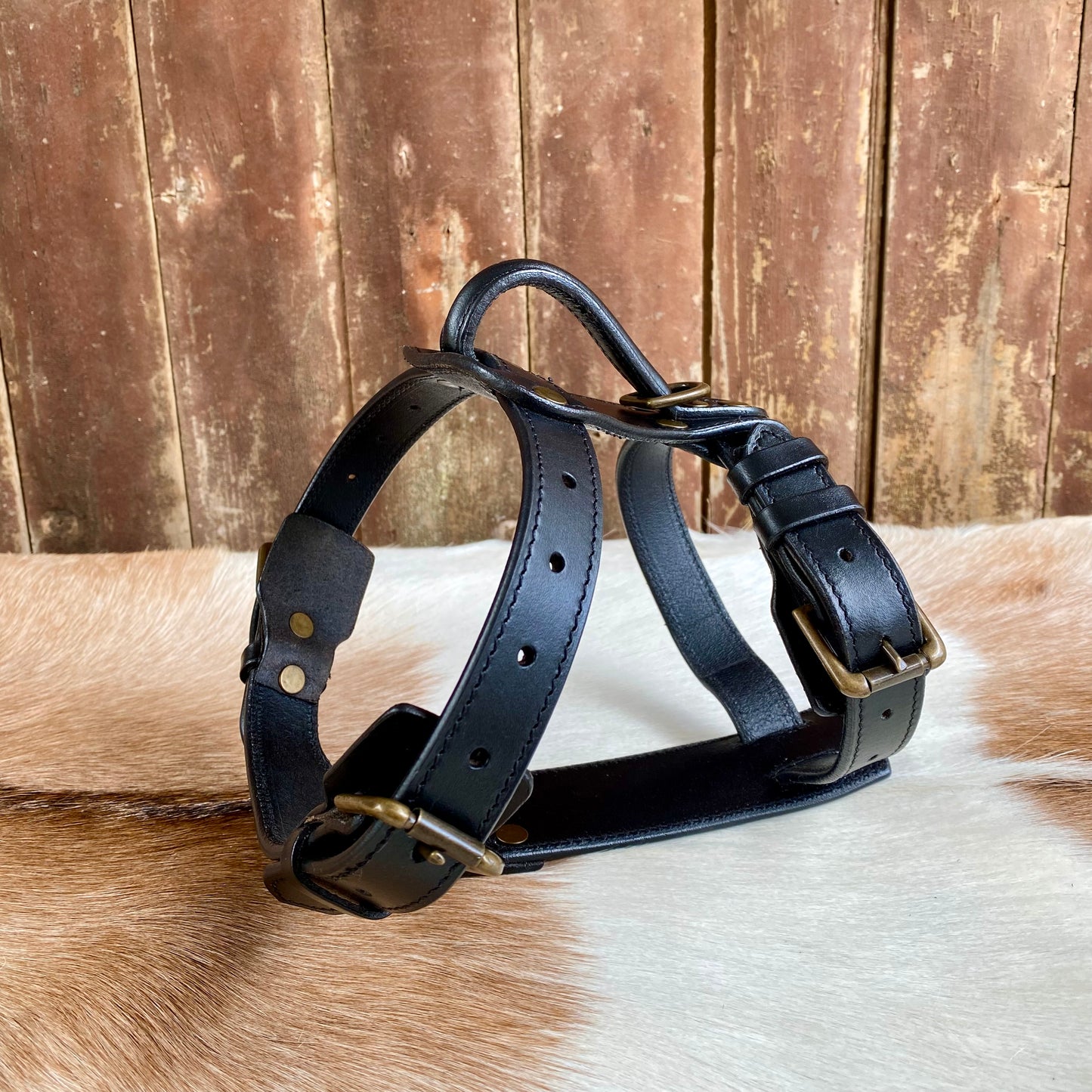 Dog Harness