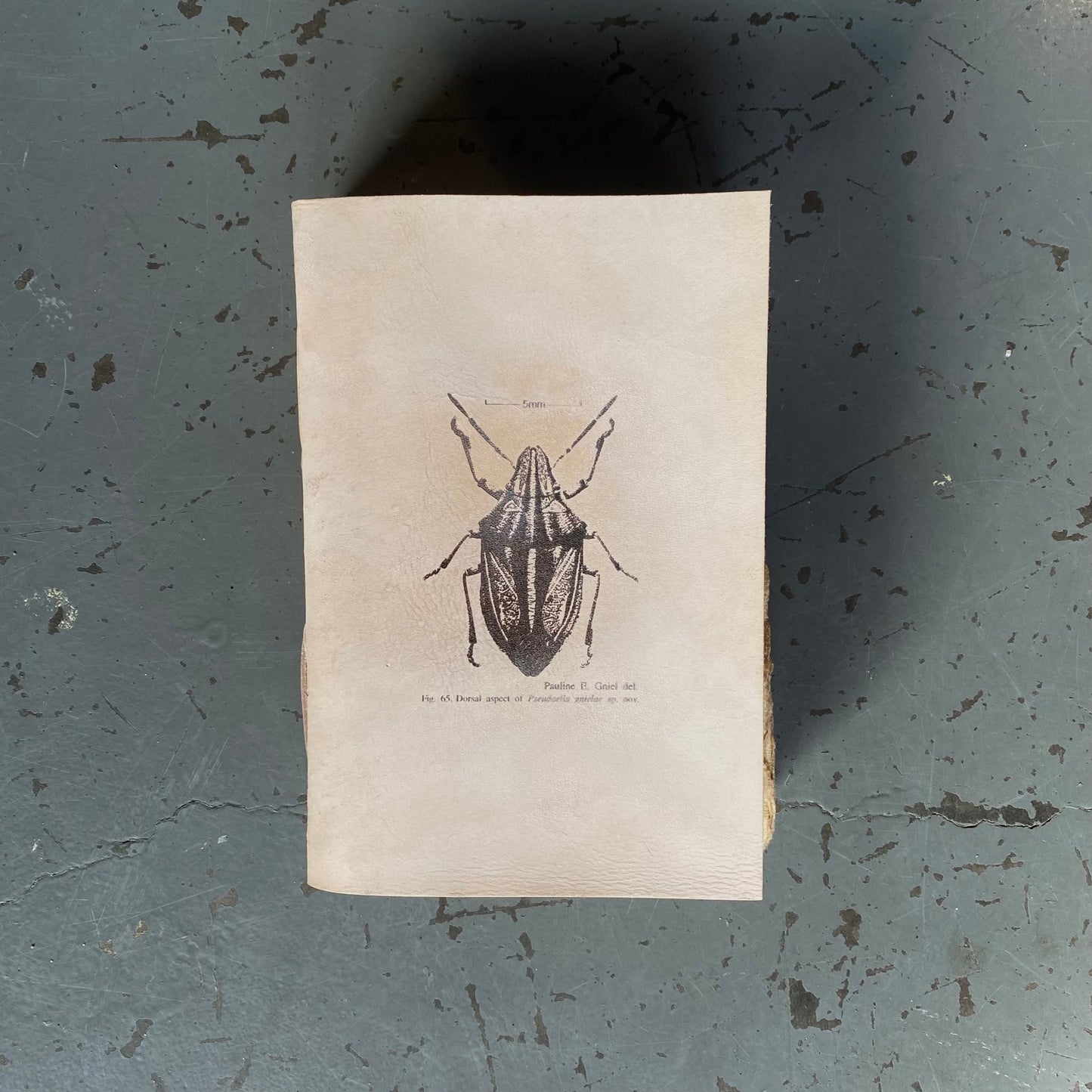 Handmade Paper Bound Leather Journal A5 & A4