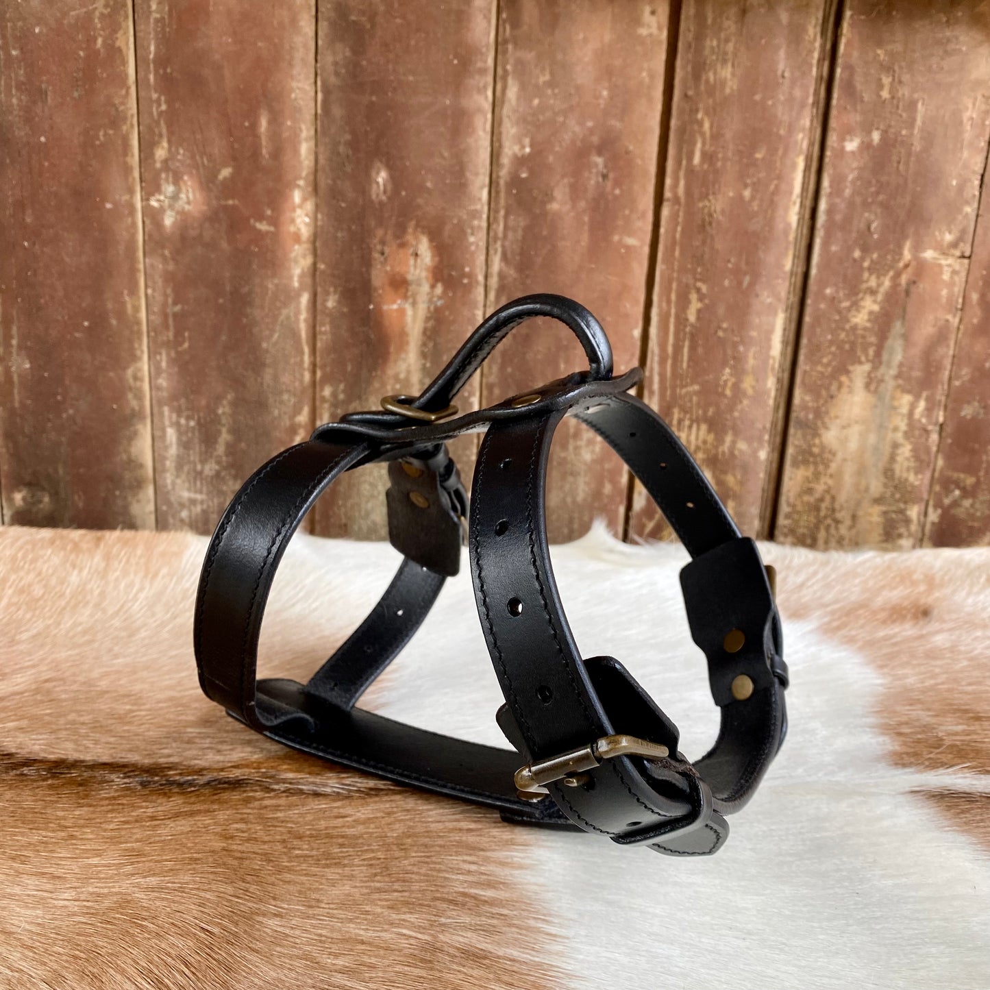 Dog Harness