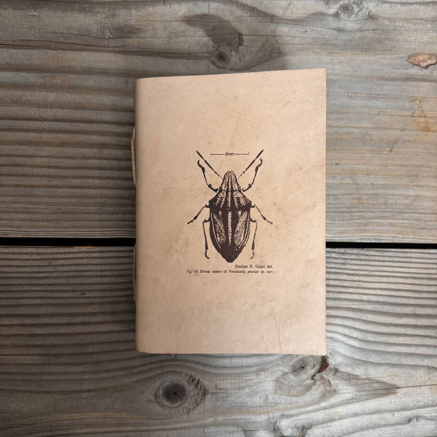 Handmade Paper Bound Leather Journal A5 & A4