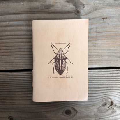 Handmade Paper Bound Leather Journal A5 & A4