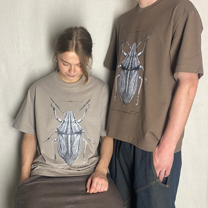 Beetle Box Tee