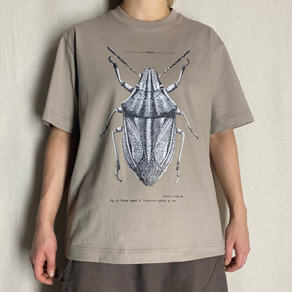 Beetle Box Tee