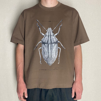 Beetle Box Tee