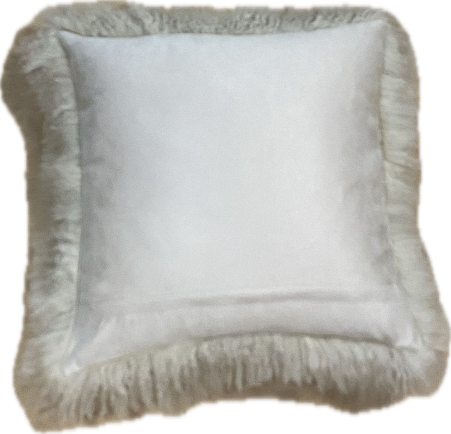Fur Hide Cushion